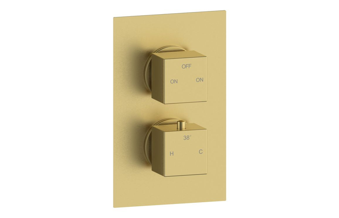Canis Thermostatic Two Outlet Twin Shower Valve - Brushed Brass