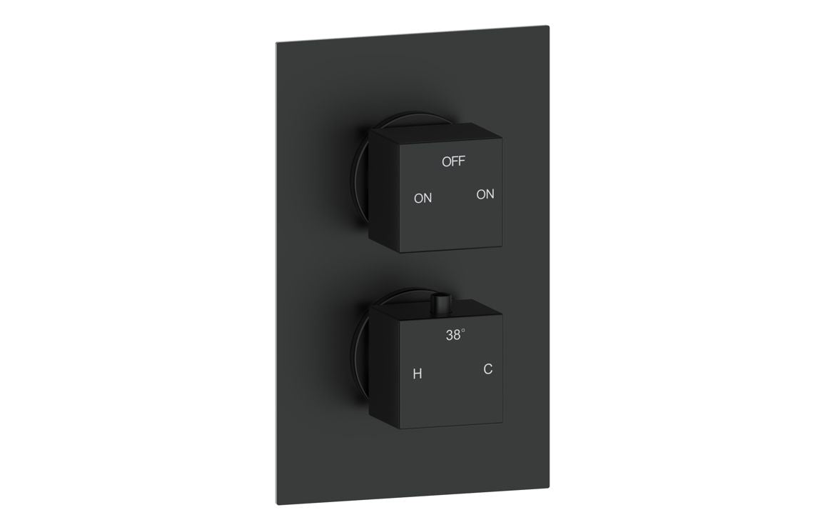 Canis Thermostatic Two Outlet Twin Shower Valve - Matt Black